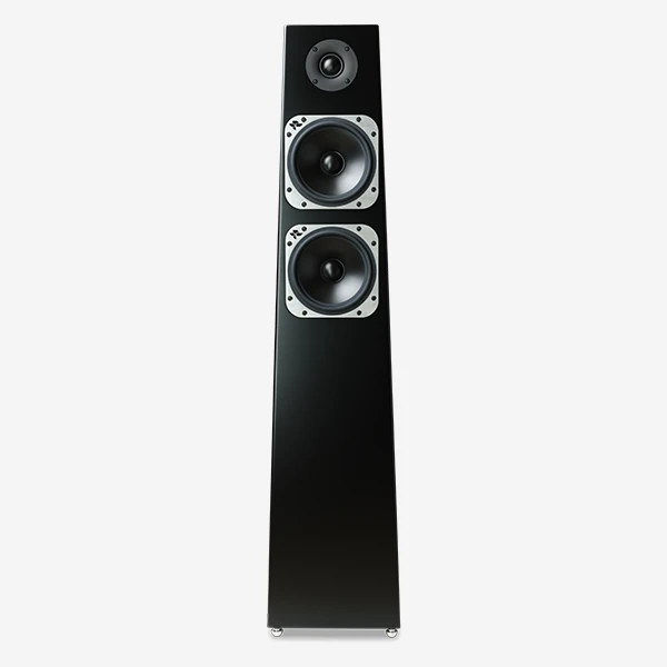 Totem Acoustic Tribe Tower Thunderbird Satin Black