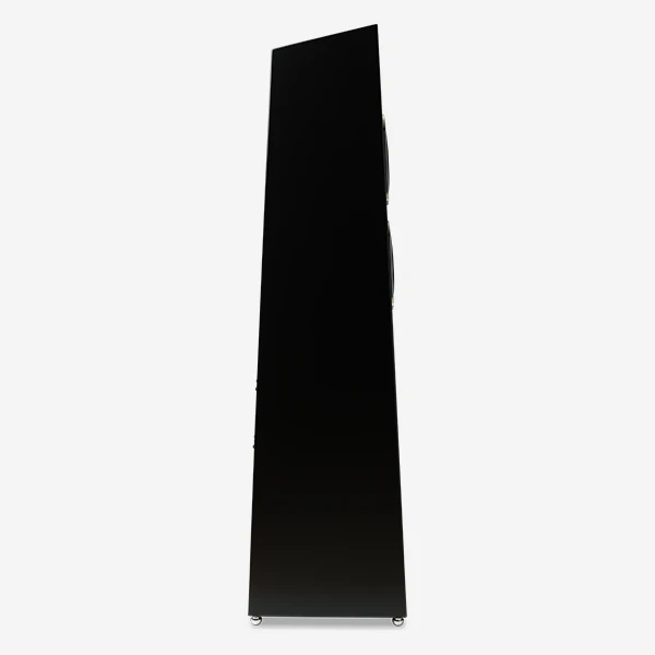 Totem Acoustic Tribe Tower Thunderbird Satin Black